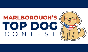 Marlborough&rsquo;s 
